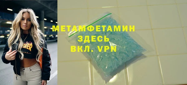 прущие грибы Анжеро-Судженск