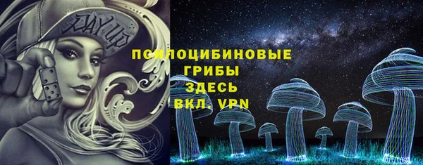 PSILOCYBIN Беломорск