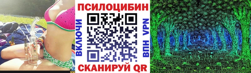 даркнет состав  Губкинский  Псилоцибиновые грибы Cubensis 