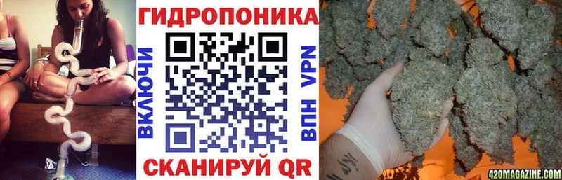 даркнет сайт Губкинский Каннабис ГИДРОПОН